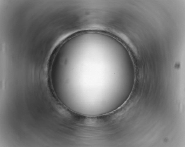 X0000103321364200809192130