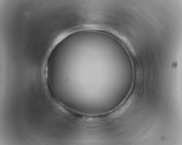 X0000103321365200809192130