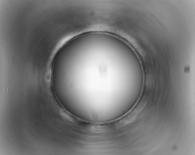 X0000103321366200809192130