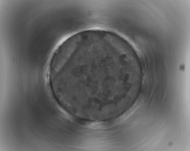 X0000103321367200809192130