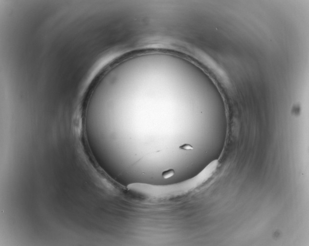 X0000103321368200809192130