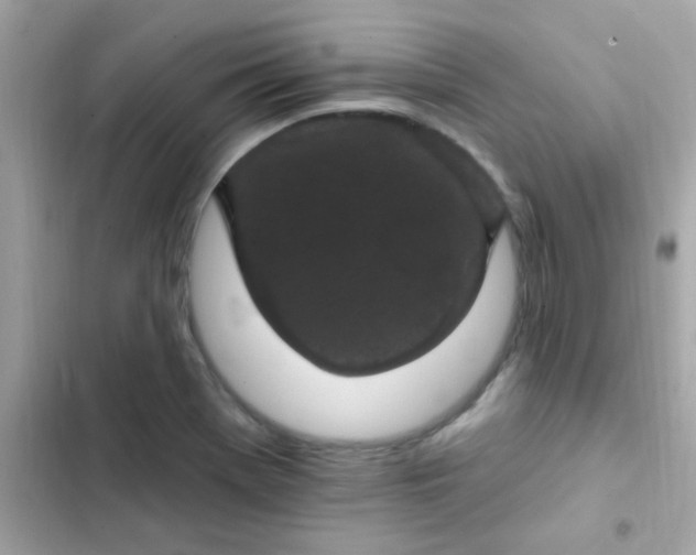 X0000103321369200809192130