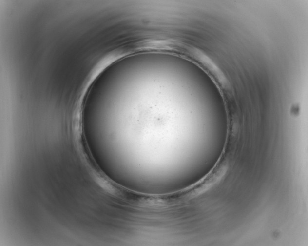 X0000103321370200809192130