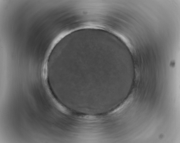 X0000103321371200809192130