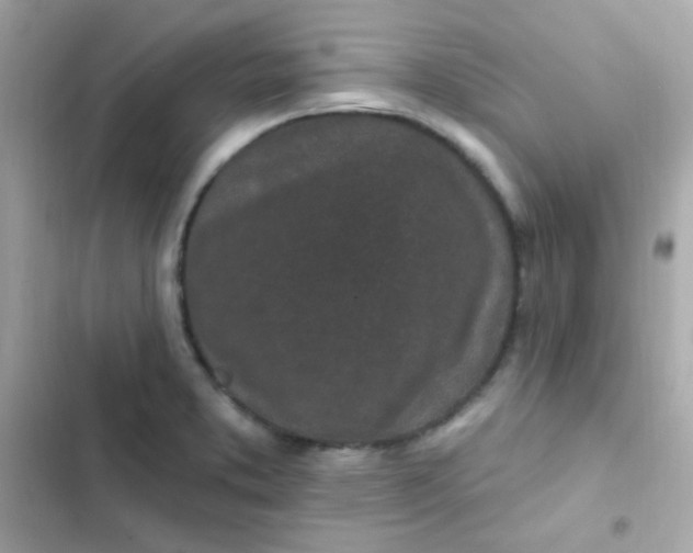 X0000103321373200809192129