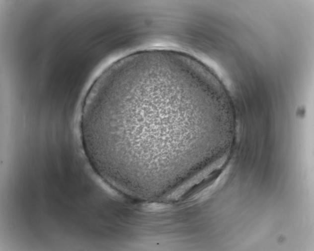 X0000103321374200809192129