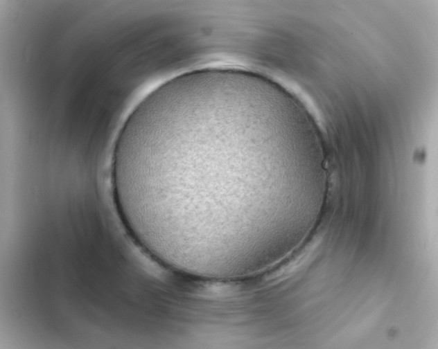 X0000103321375200809192129