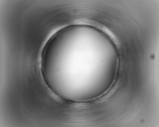 X0000103321376200809192129