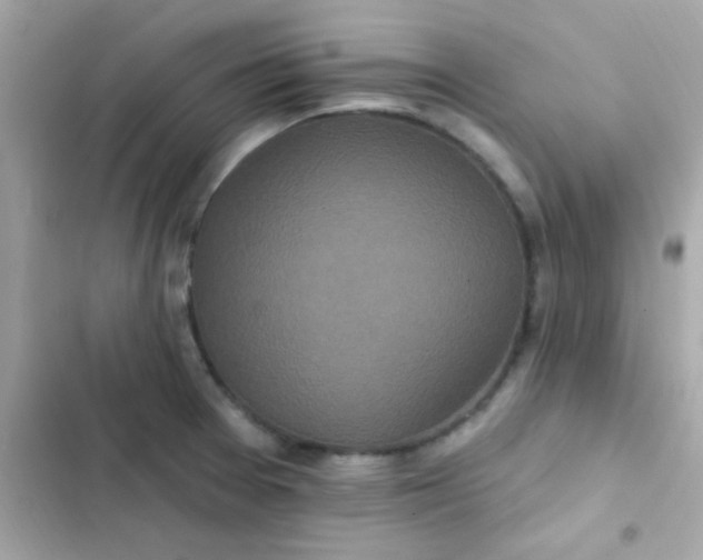 X0000103321377200809192129