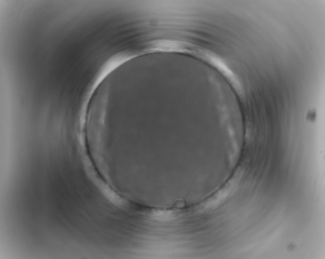 X0000103321378200809192129