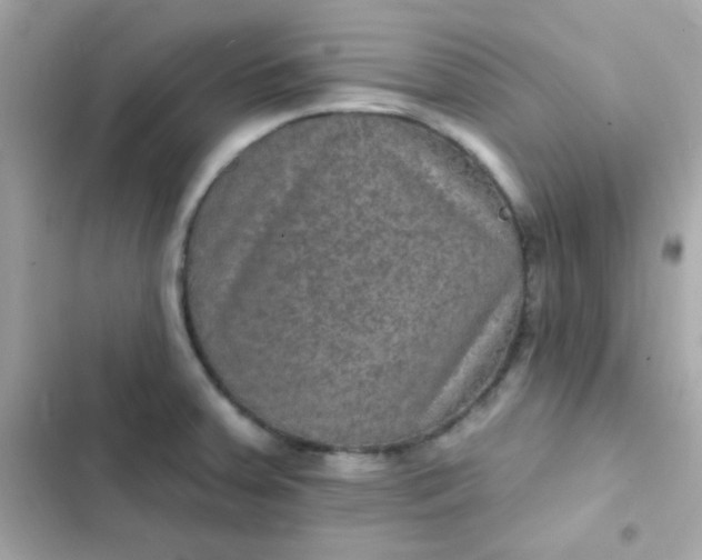 X0000103321379200809192129