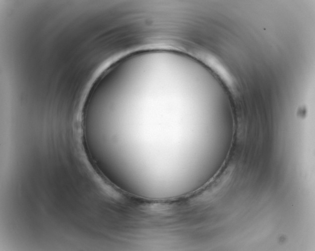 X0000103321380200809192129