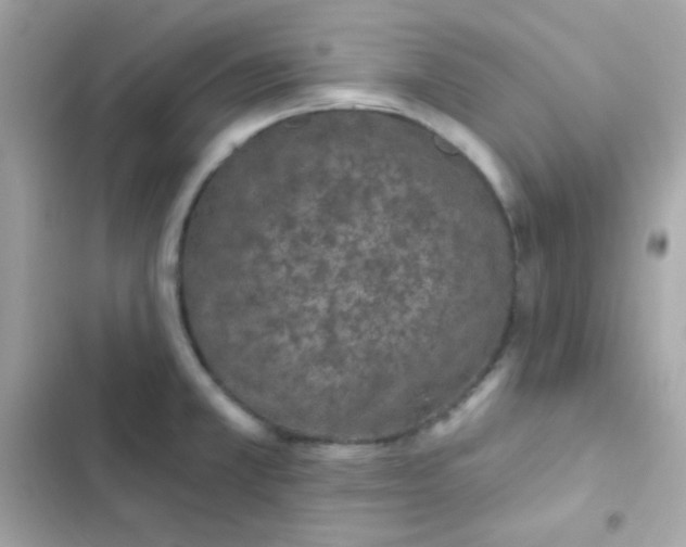 X0000103321381200809192129