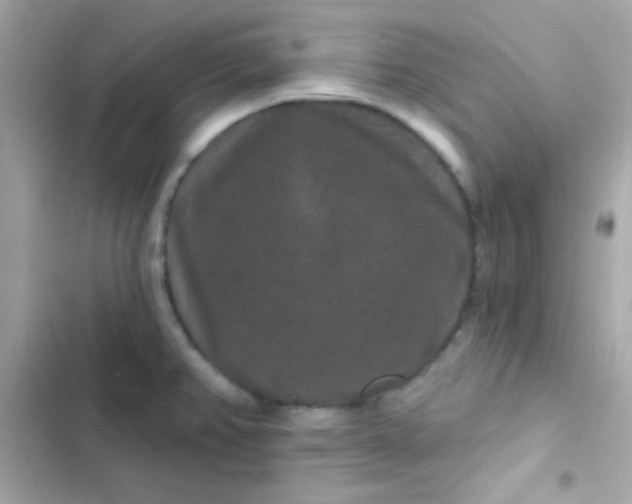 X0000103321382200809192129