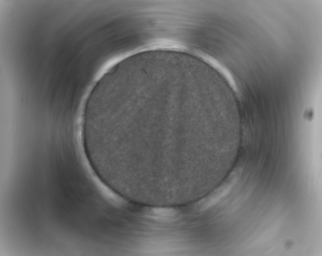 X0000103321383200809192129