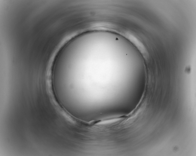 X0000103321384200809192129