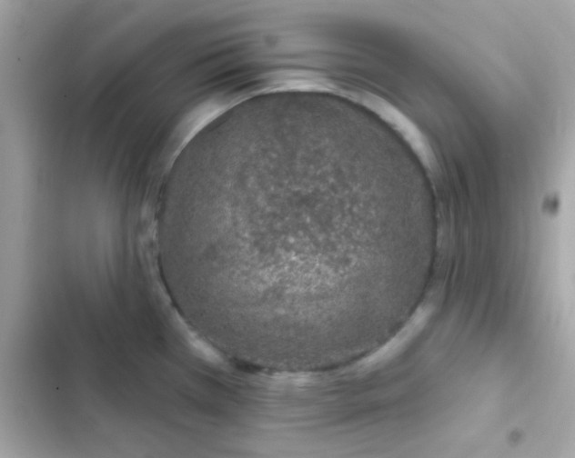 X0000103321385200809192129