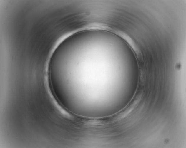 X0000103321387200809192129