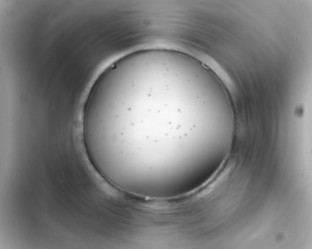 X0000103321388200809192129