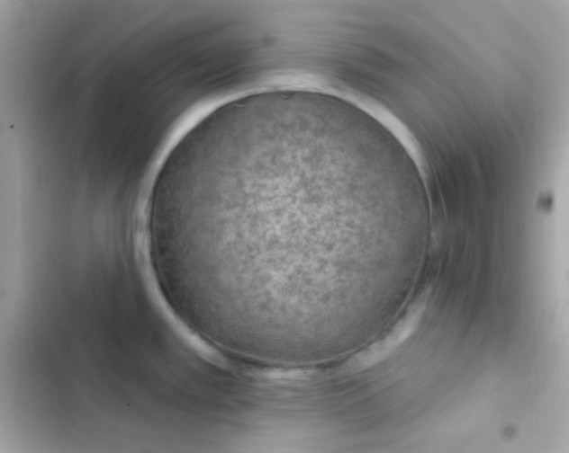 X0000103321389200809192129