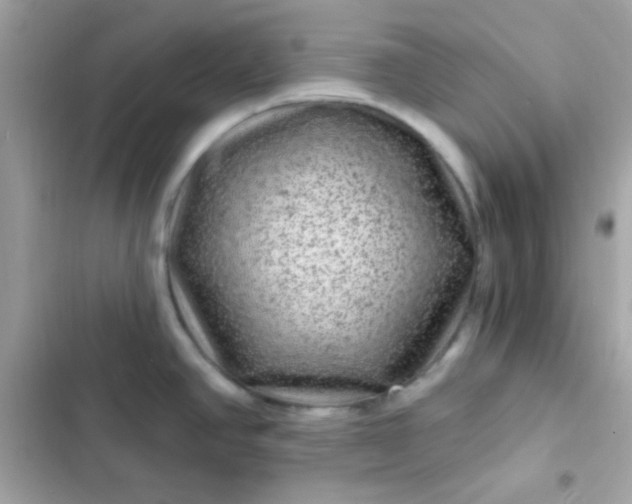 X0000103321390200809192129