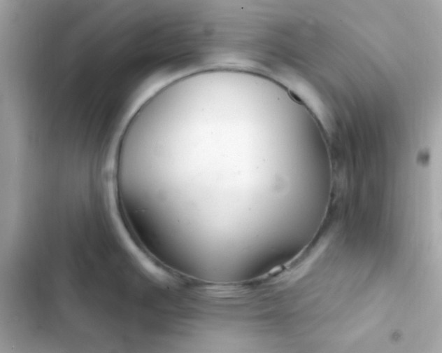 X0000103321391200809192129