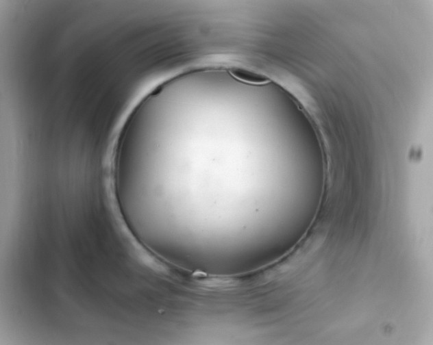 X0000103321392200809192129