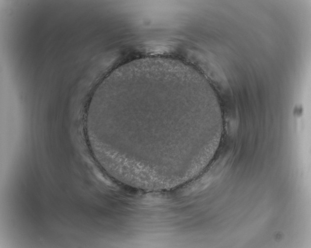 X0000103321393200809192129