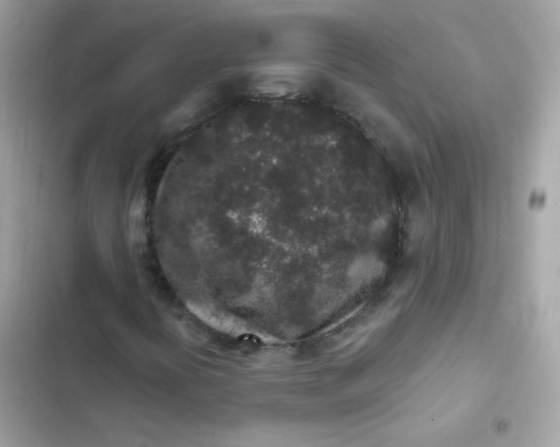 X0000103321394200809192129