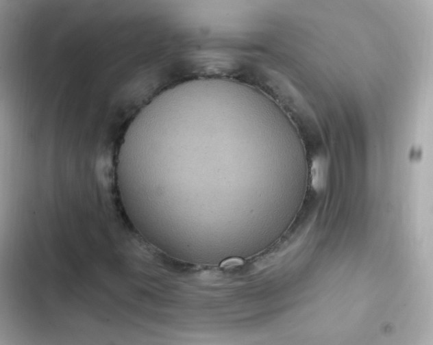 X0000103321395200809192129