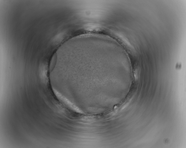 X0000103321396200809192129