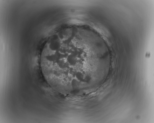 X0000103321397200809192129