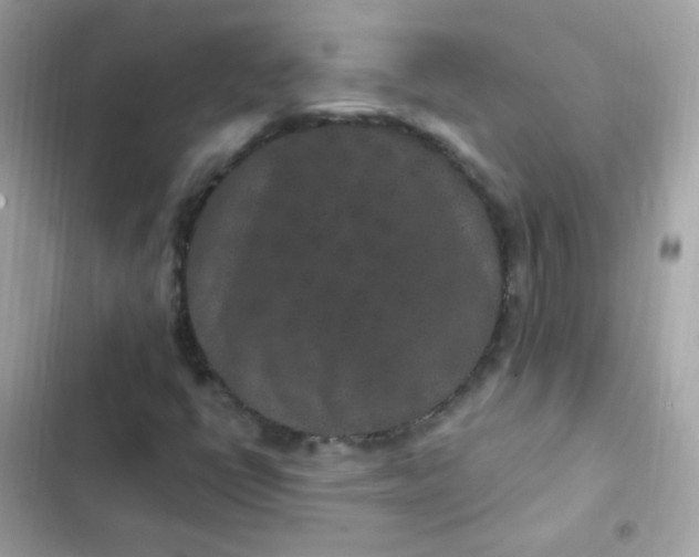 X0000103321398200809192129