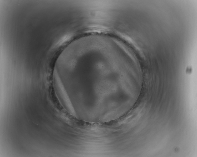 X0000103321399200809192129