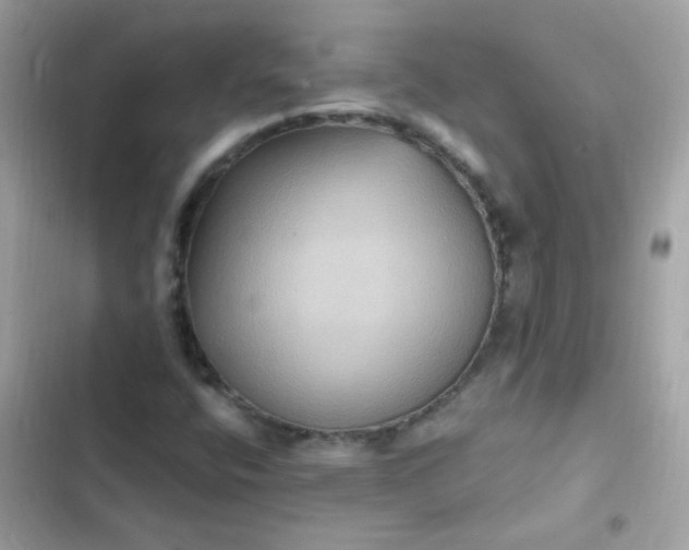 X0000103321400200809192129