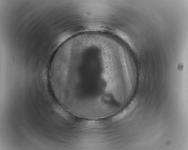 X0000103321401200809192129