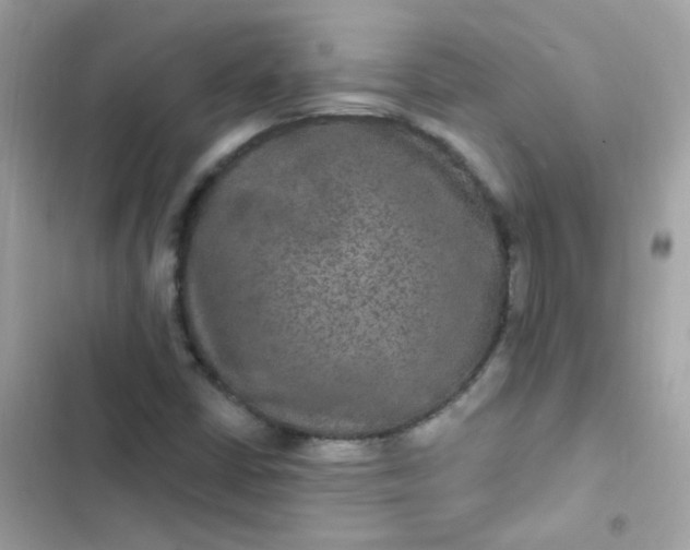 X0000103321402200809192129