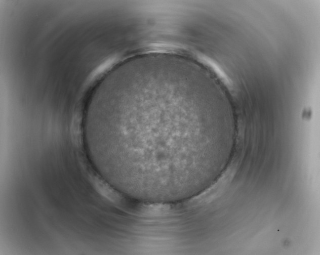 X0000103321403200809192129