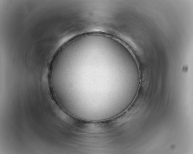 X0000103321404200809192129