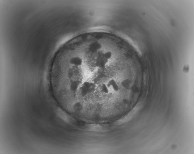 X0000103321405200809192129