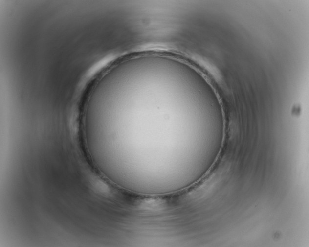 X0000103321406200809192129