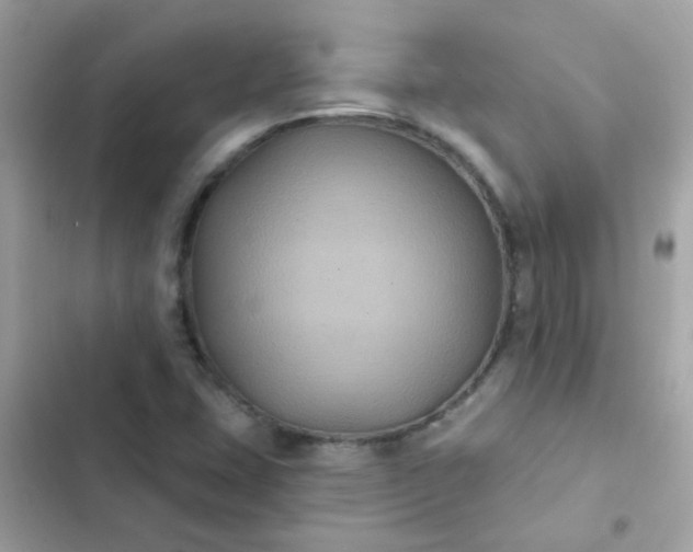 X0000103321407200809192129