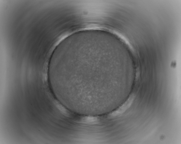 X0000103321409200809192129