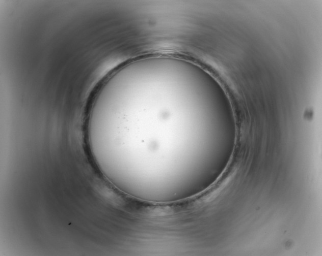 X0000103321410200809192129