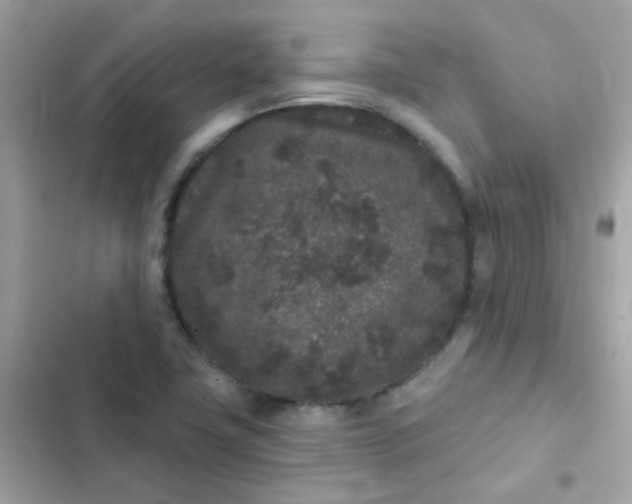 X0000103321411200809192129