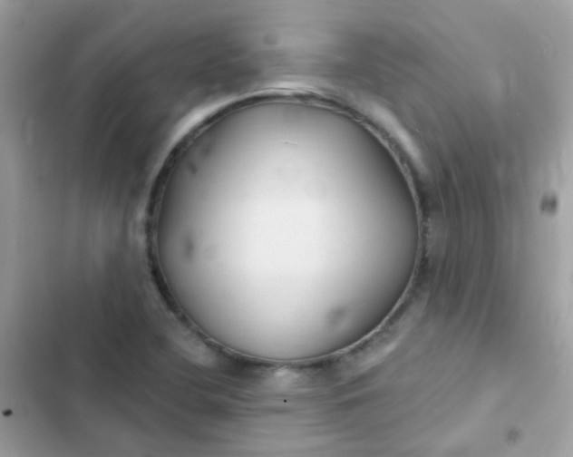 X0000103321412200809192129