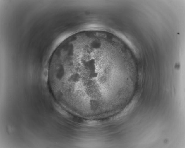 X0000103321413200809192129