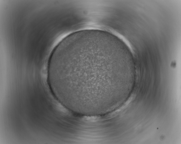 X0000103321415200809192129