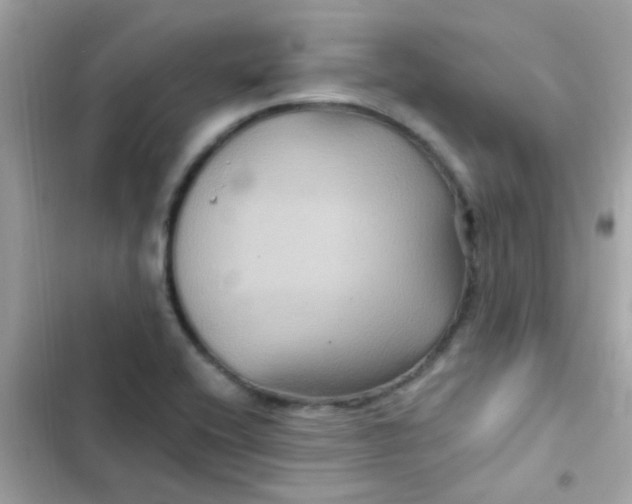 X0000103321416200809192129