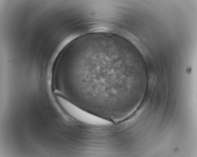 X0000103321418200809192129